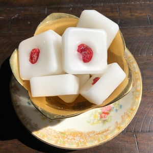 CRANBERRY PEPPERMINT soy wax melts handmade gifts
